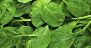 10 Secret Benefits of Spinach for Skin and Hair Health